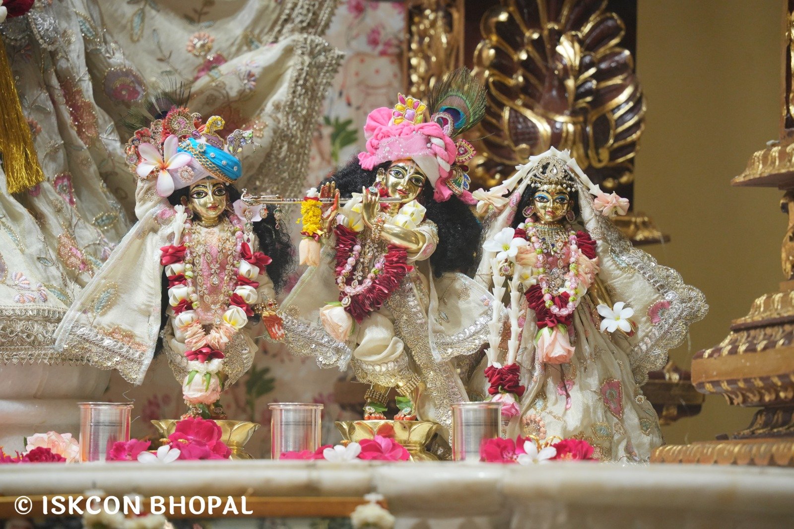 WhatsApp Image 2025-11-01 at 8.42.32 AM (1)