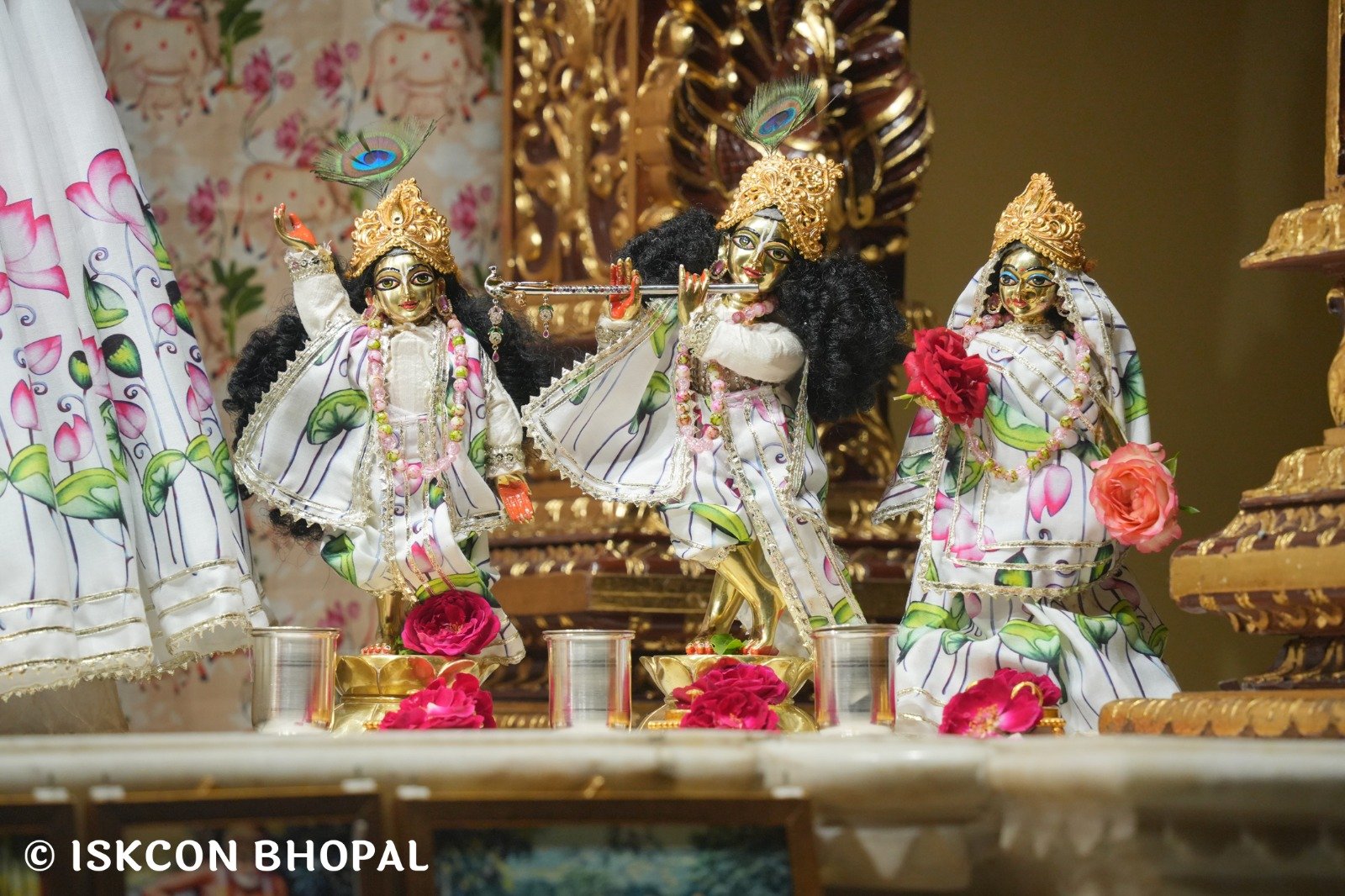 WhatsApp Image 2025-11-02 at 7.11.51 AM (1)