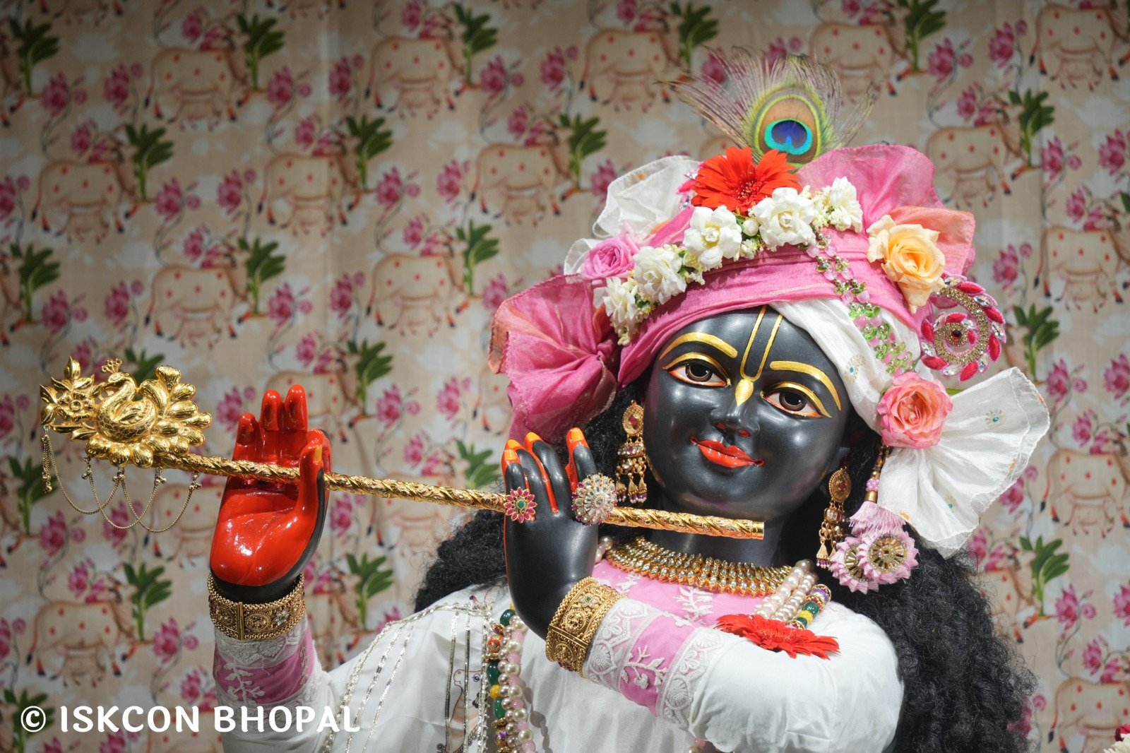 WhatsApp Image 2025-11-02 at 7.11.52 AM (1)