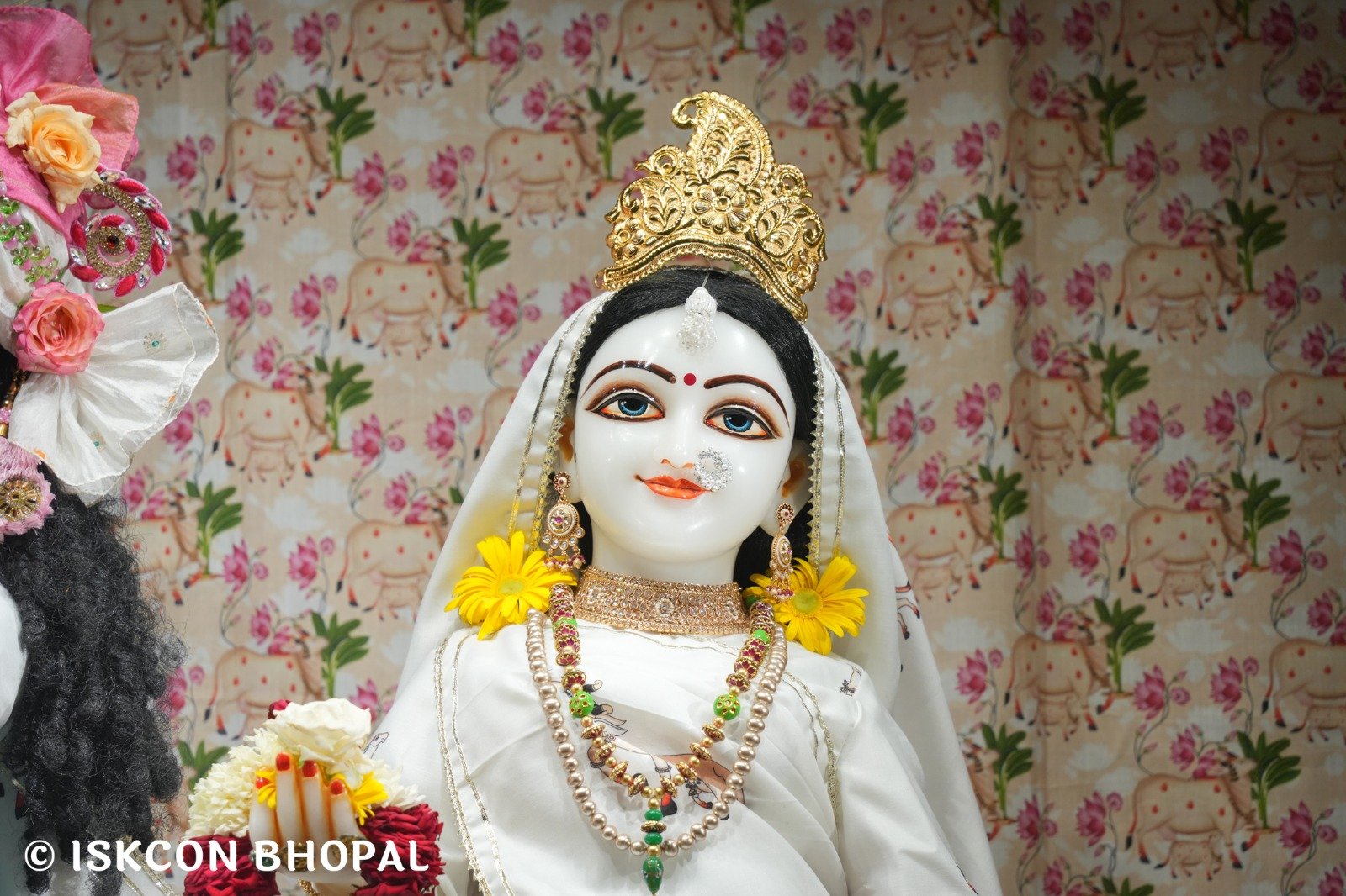 WhatsApp Image 2025-11-02 at 7.11.52 AM (4)