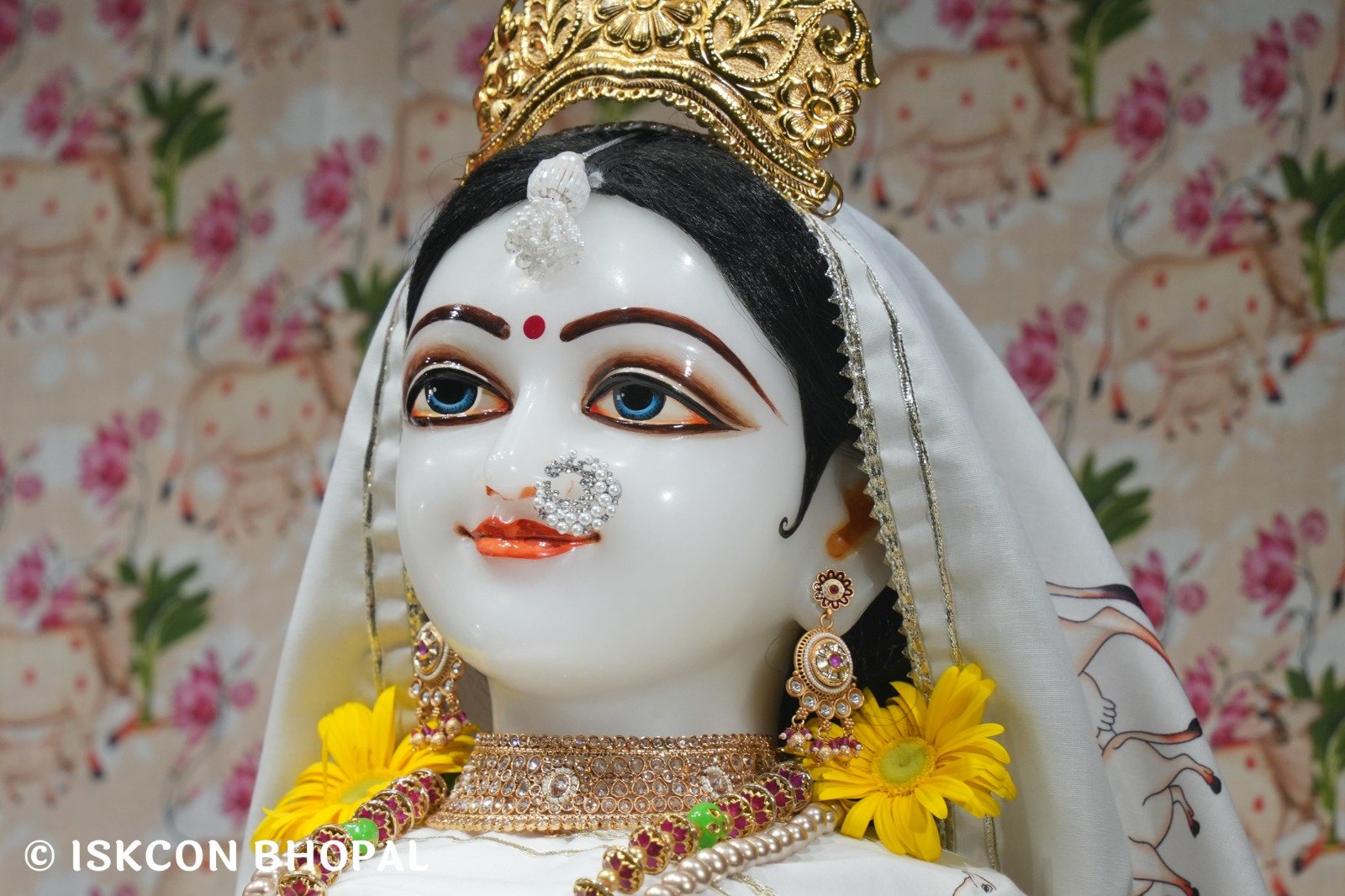 WhatsApp Image 2025-11-02 at 7.11.52 AM (5)