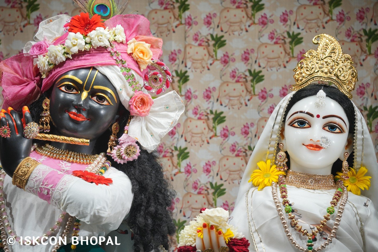 WhatsApp Image 2025-11-02 at 7.11.52 AM