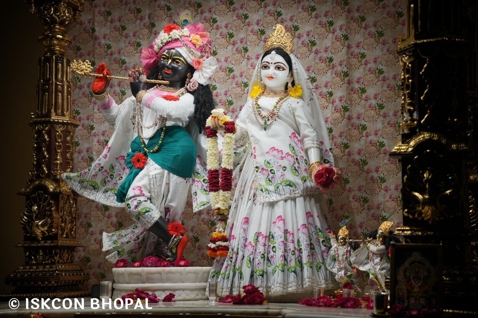 WhatsApp Image 2025-11-02 at 7.11.53 AM (3)