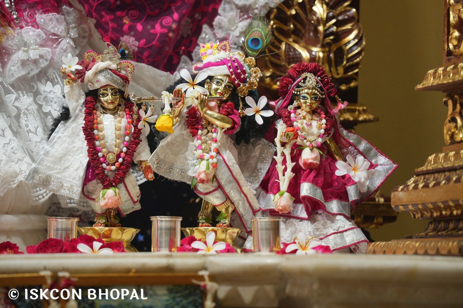 WhatsApp Image 2025-11-02 at 7.57.12 AM