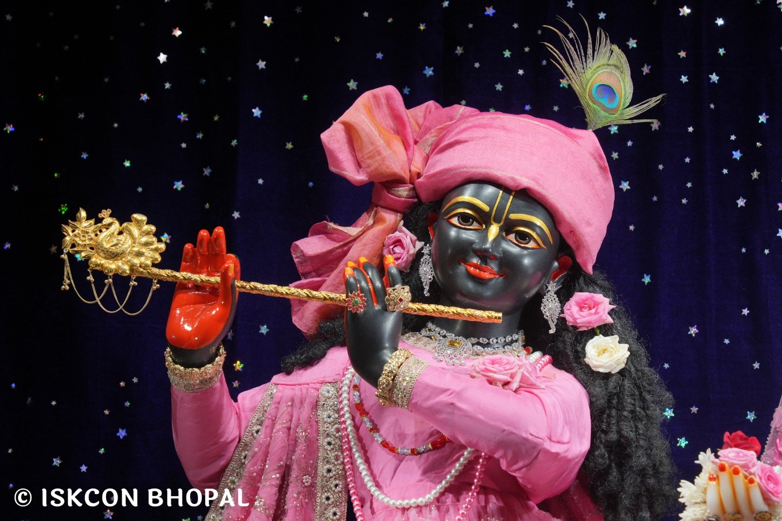 WhatsApp Image 2025-11-03 at 7.12.14 AM (1)