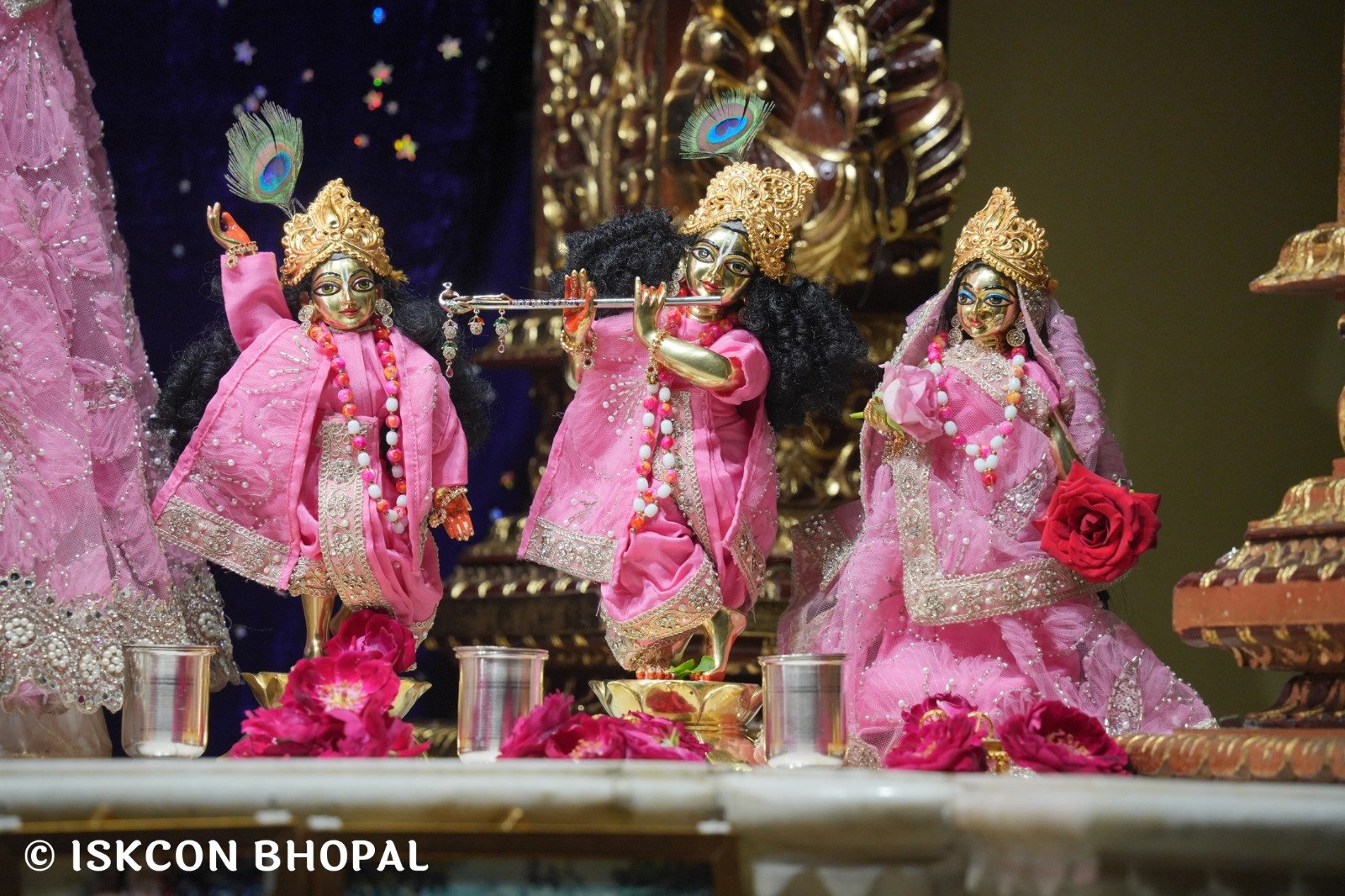 WhatsApp Image 2025-11-03 at 7.12.15 AM (2)