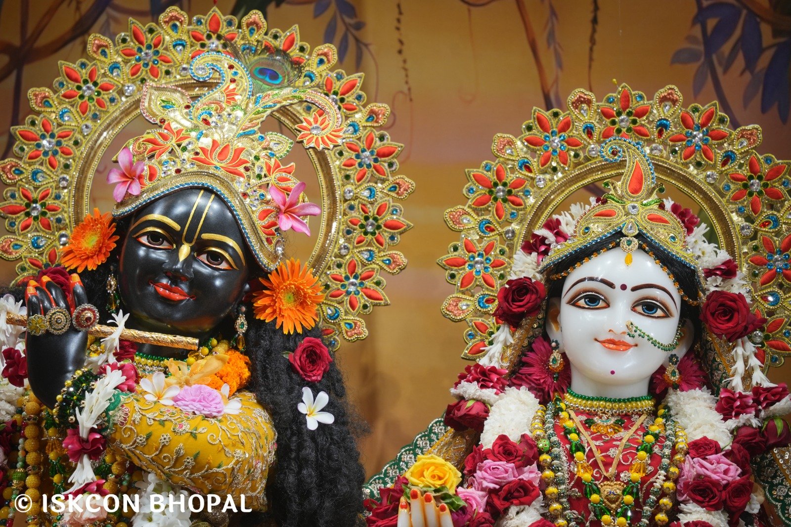 WhatsApp Image 2025-11-03 at 7.45.02 AM