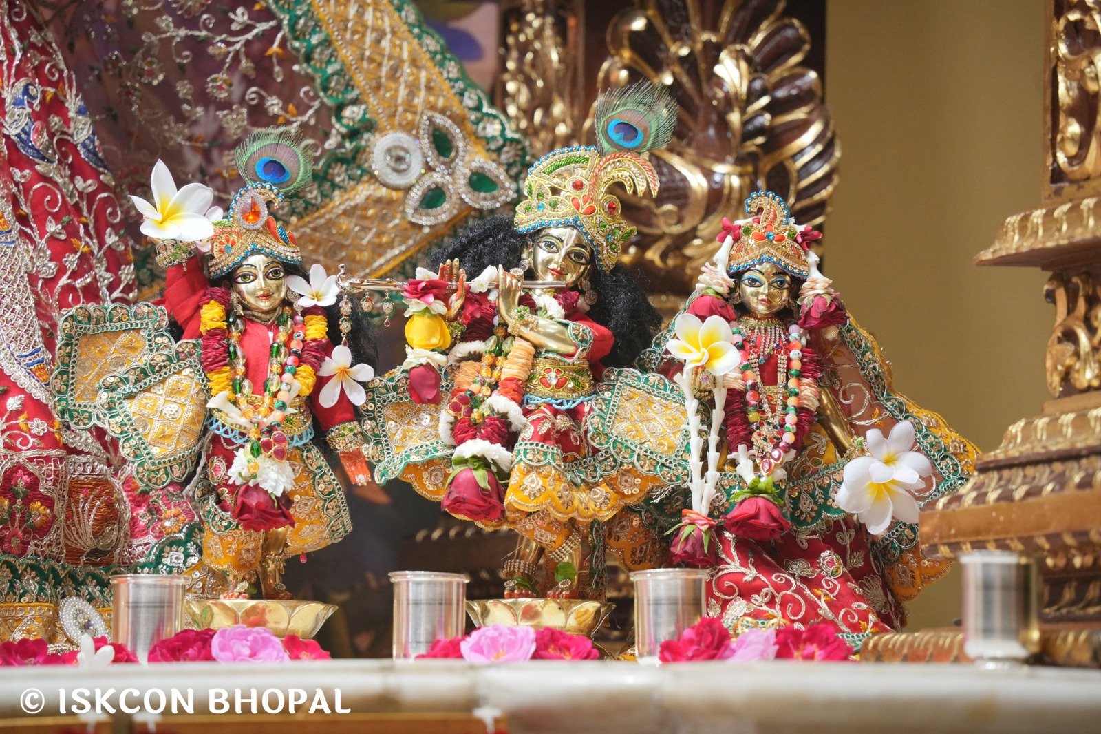 WhatsApp Image 2025-11-03 at 7.45.03 AM (1)