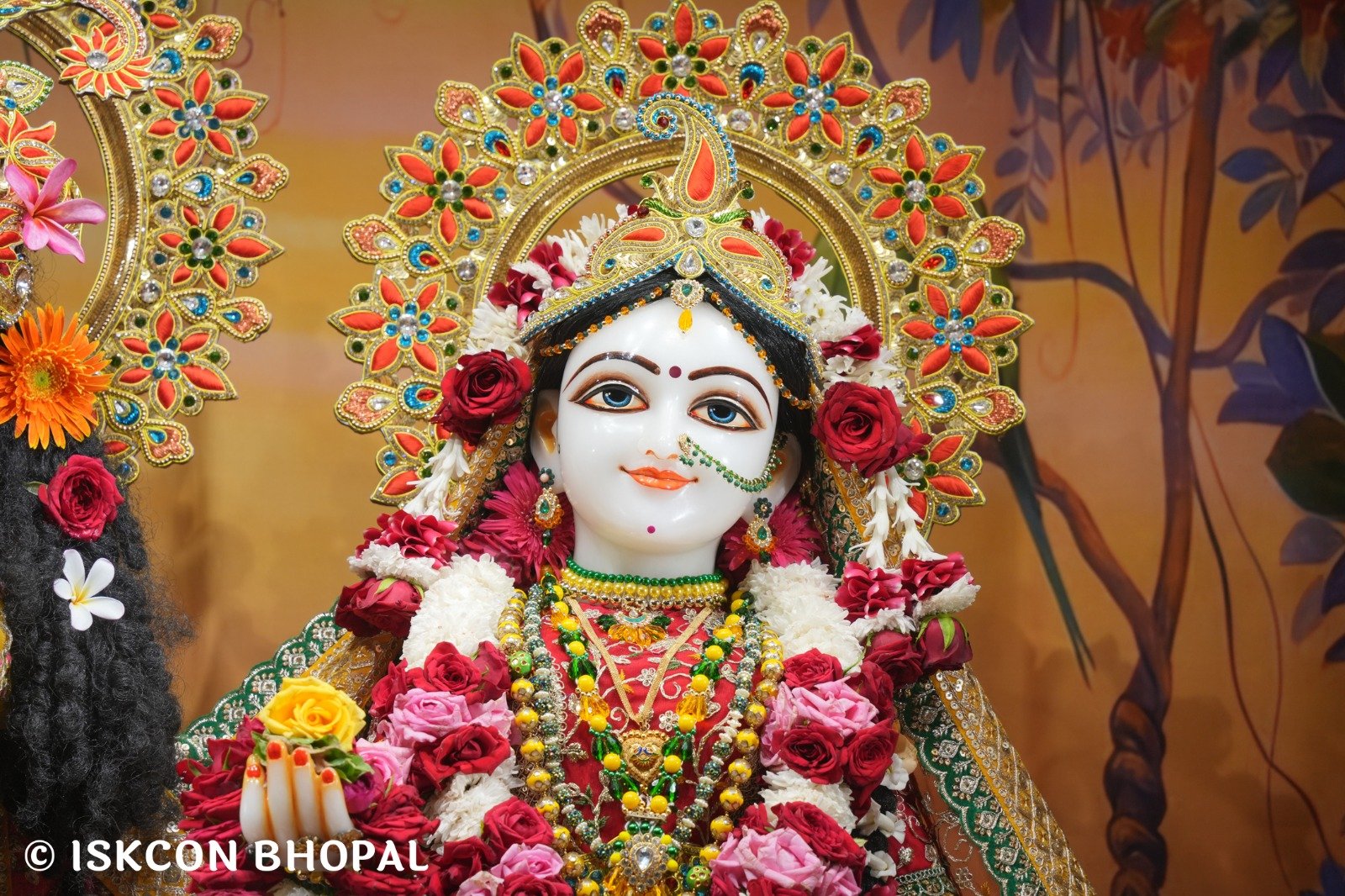 WhatsApp Image 2025-11-03 at 7.45.03 AM (2)