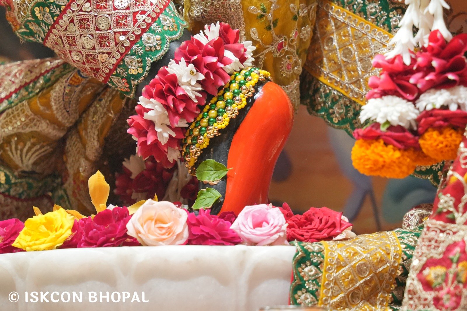 WhatsApp Image 2025-11-03 at 7.45.03 AM (3)