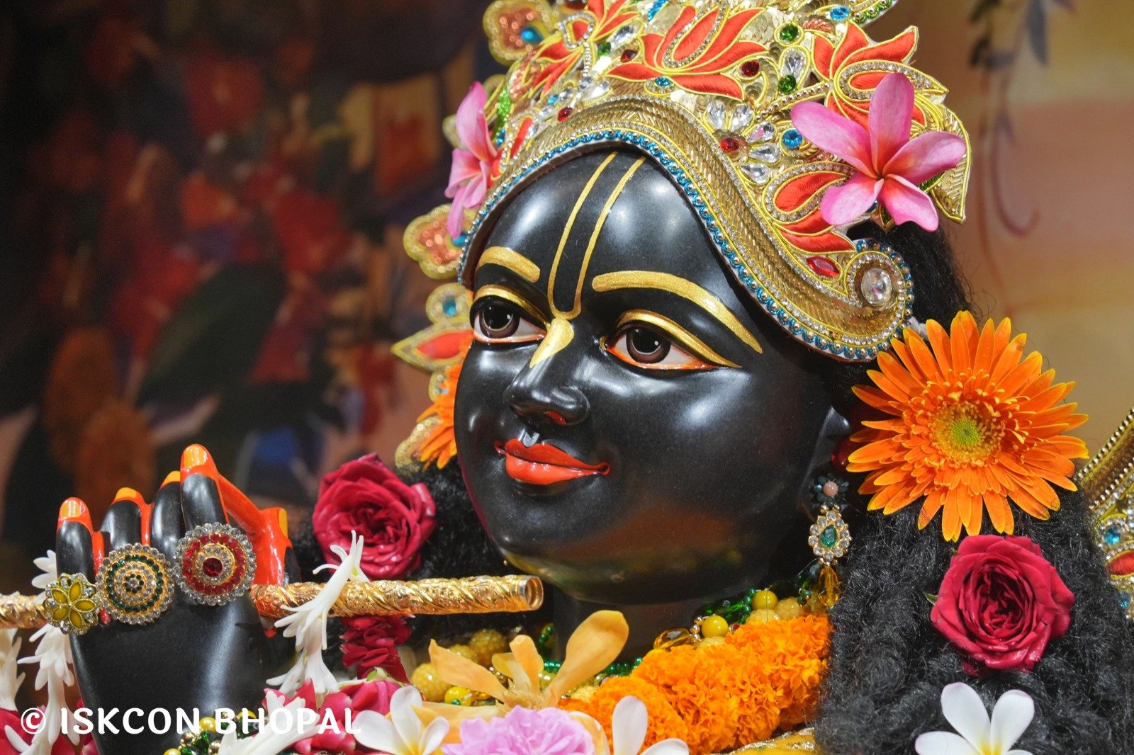 WhatsApp Image 2025-11-03 at 7.45.03 AM (4)