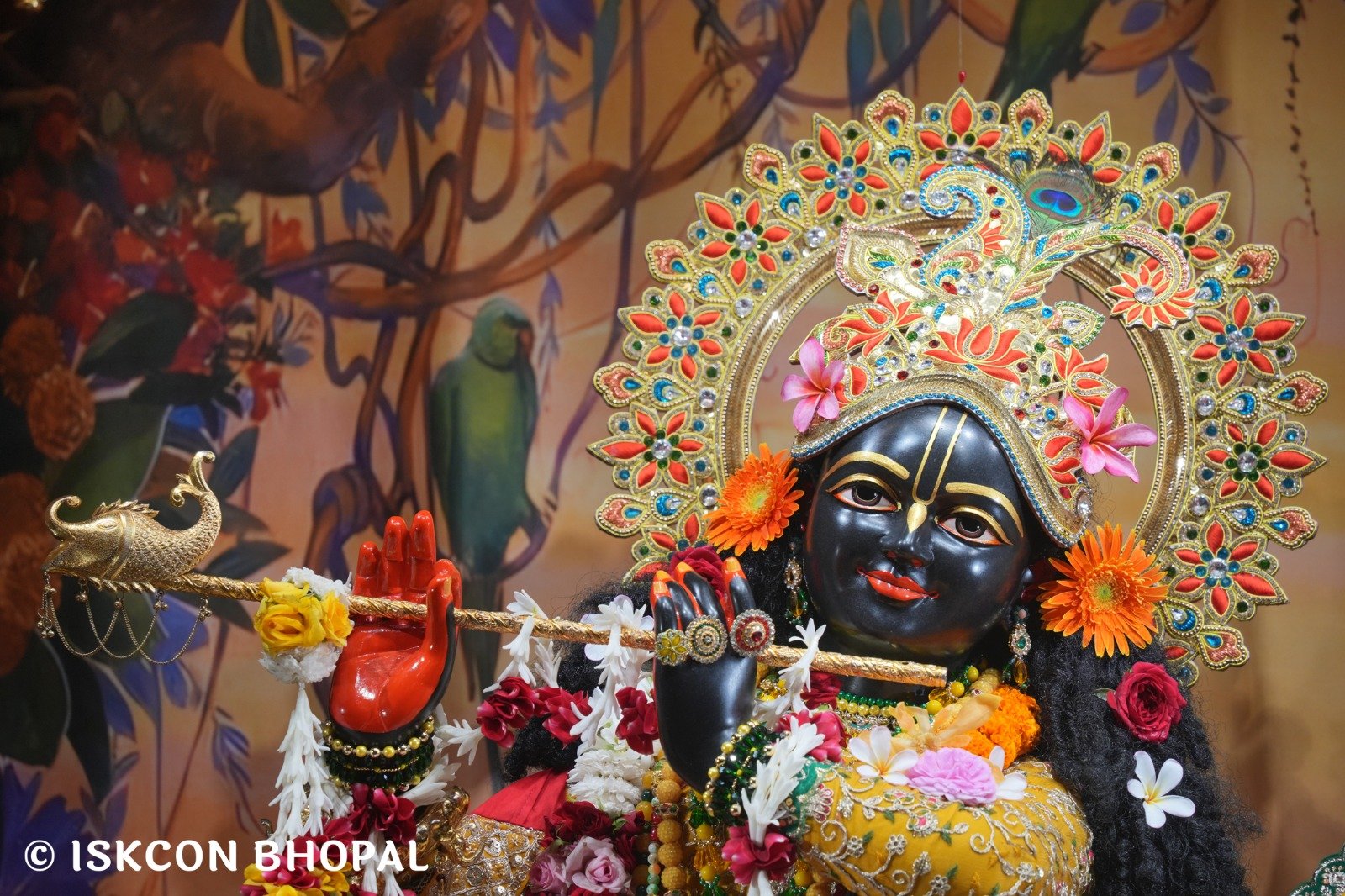 WhatsApp Image 2025-11-03 at 7.45.03 AM