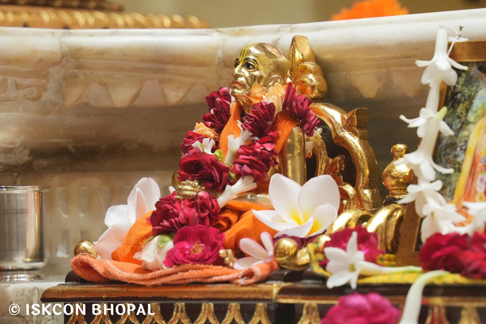 WhatsApp Image 2025-11-03 at 7.45.04 AM (1)