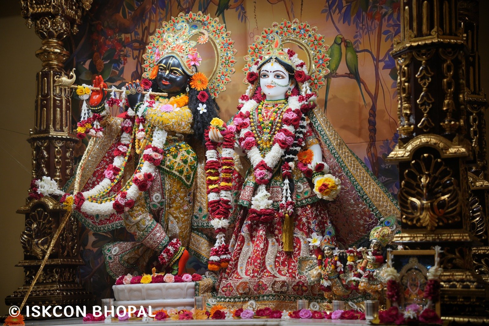 WhatsApp Image 2025-11-03 at 7.45.04 AM