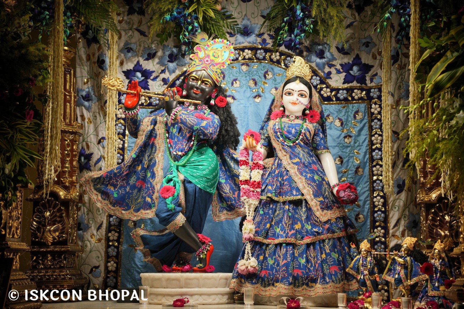 WhatsApp Image 2025-11-06 at 7.11.57 AM (1)