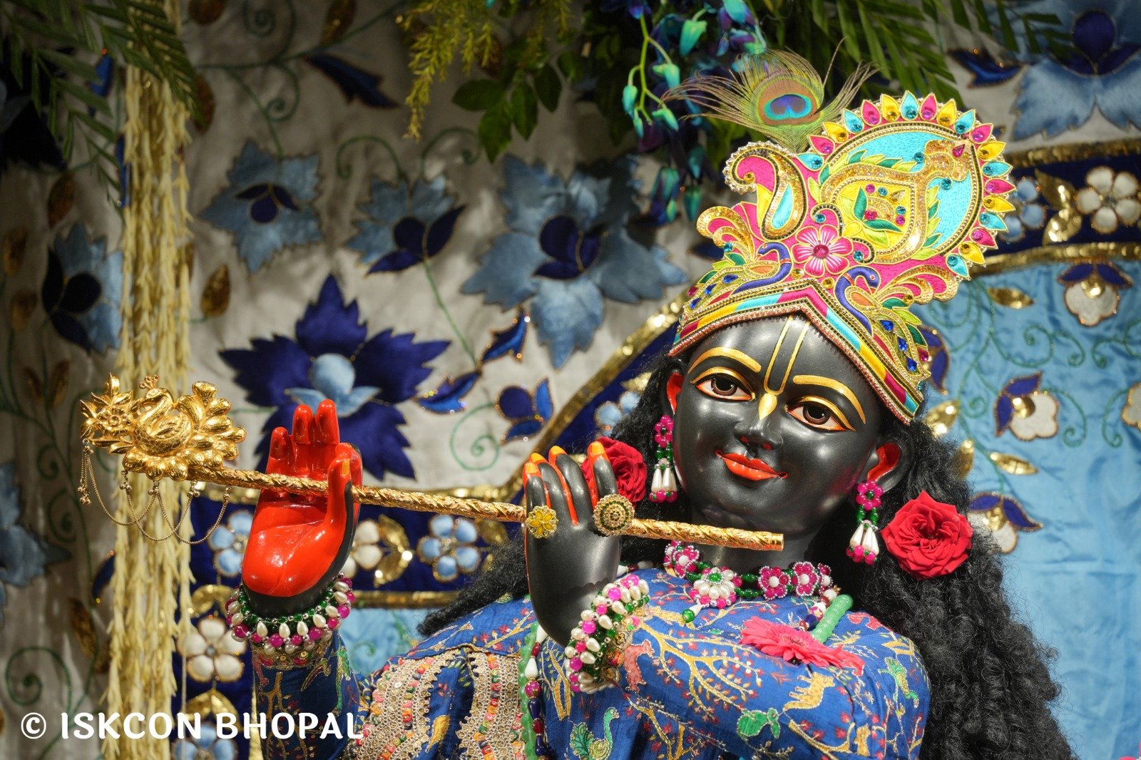 WhatsApp Image 2025-11-06 at 7.11.58 AM (1)