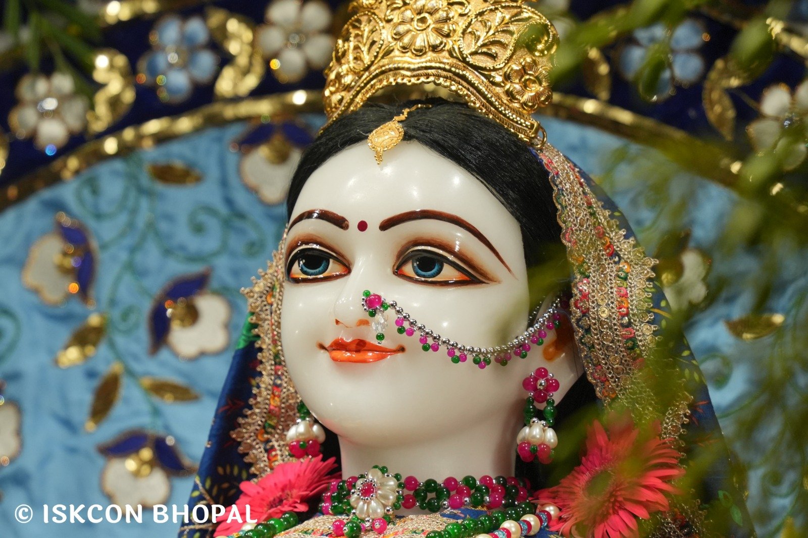 WhatsApp Image 2025-11-06 at 7.11.58 AM