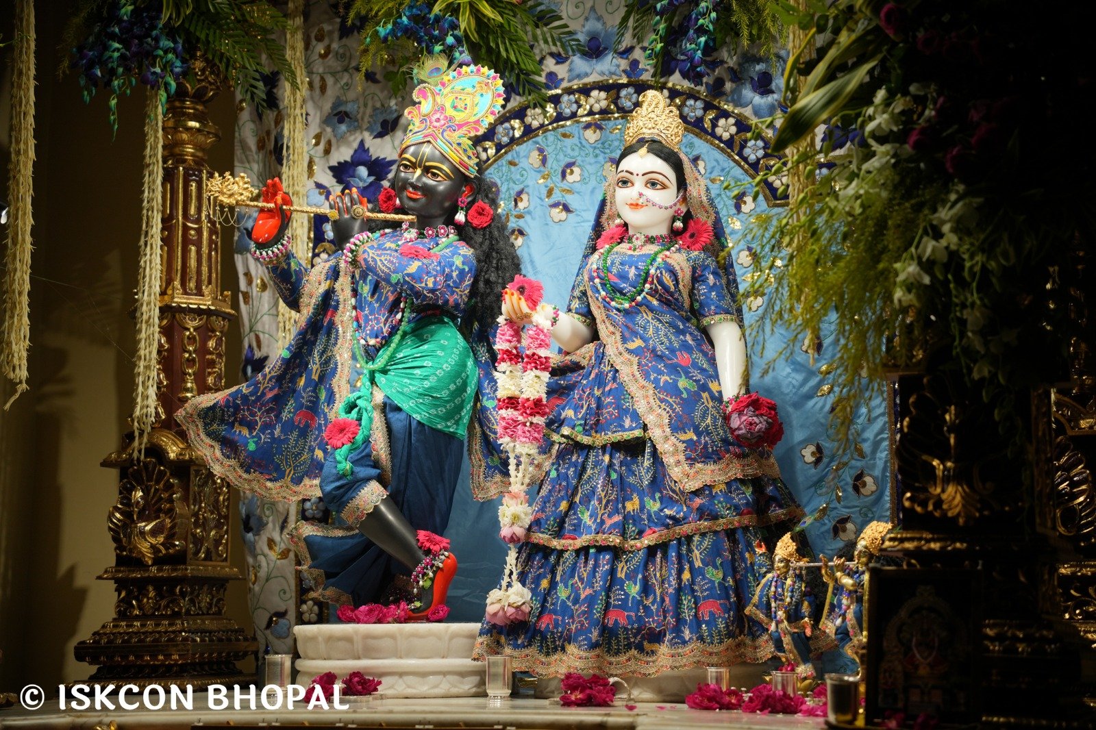 WhatsApp Image 2025-11-06 at 7.11.59 AM