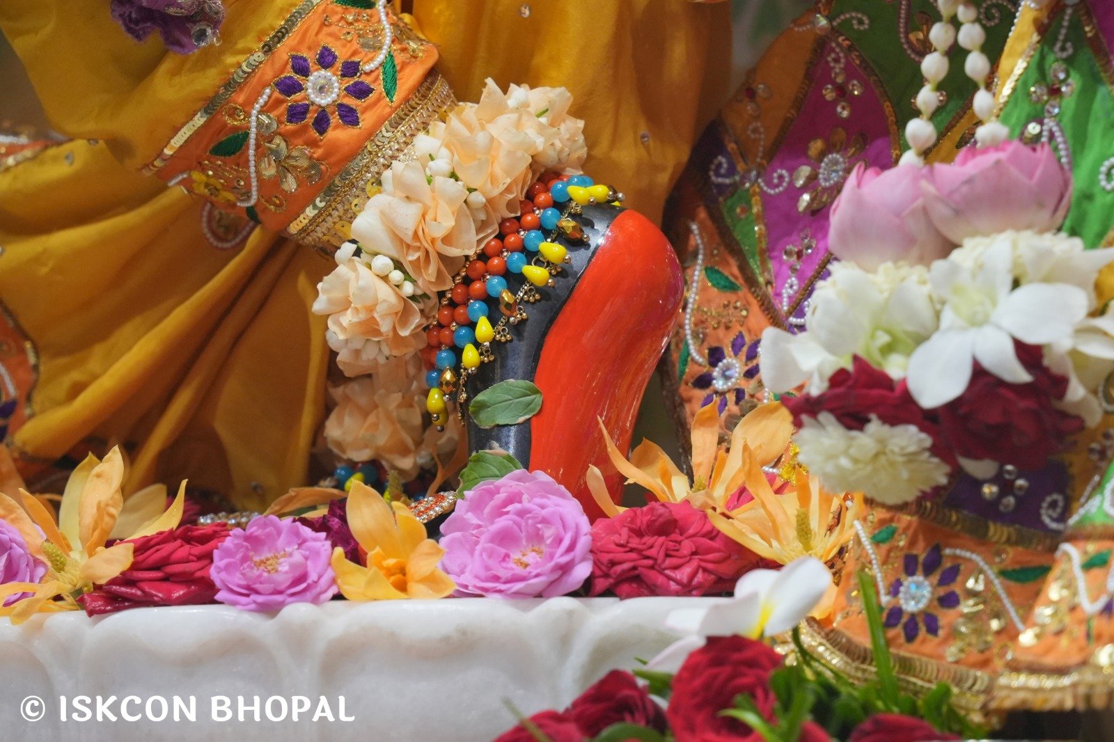 WhatsApp Image 2025-11-06 at 7.44.43 AM (1)