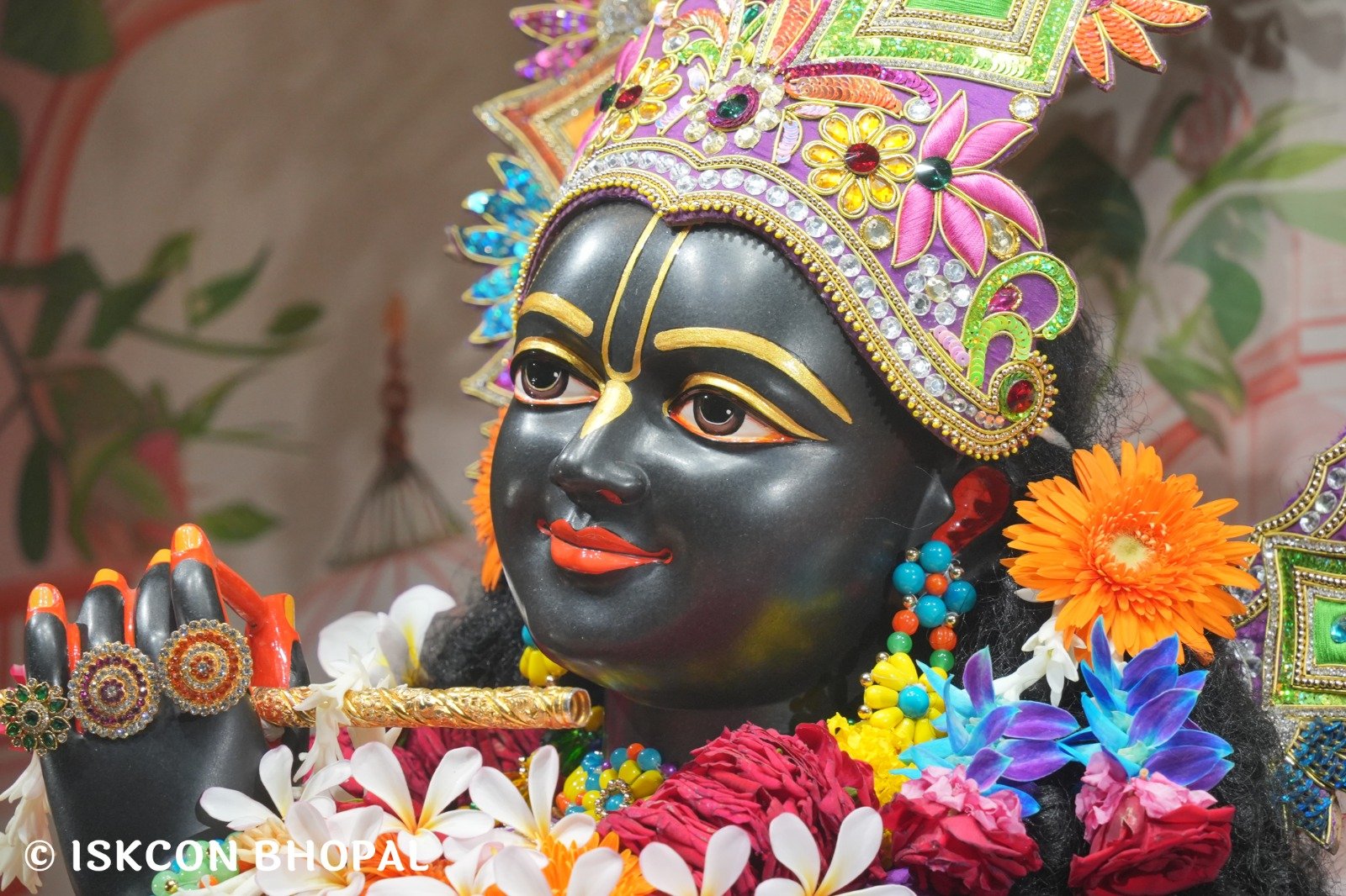 WhatsApp Image 2025-11-06 at 7.44.43 AM