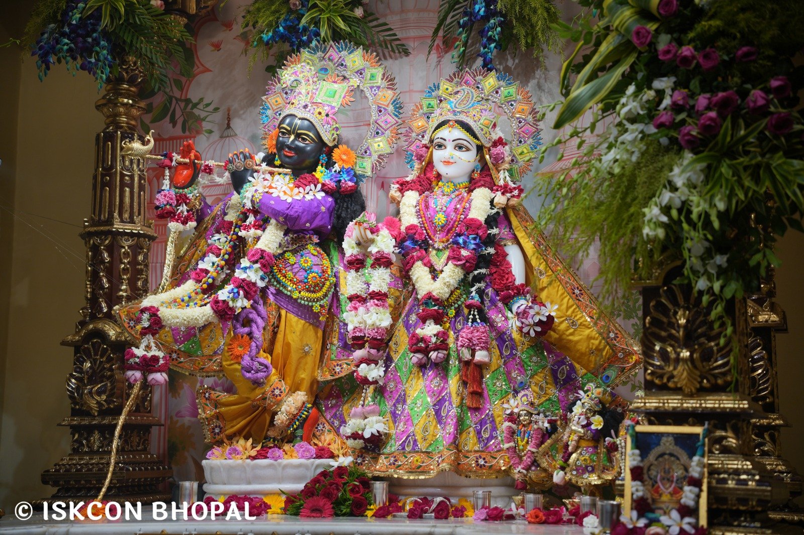 WhatsApp Image 2025-11-06 at 7.44.44 AM (1)