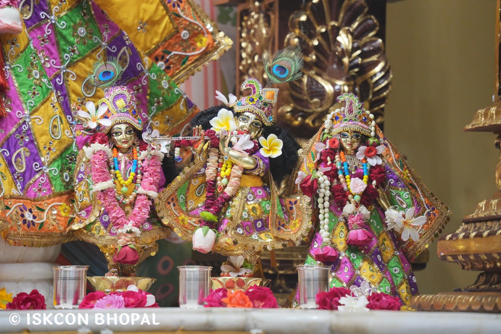 WhatsApp Image 2025-11-06 at 7.44.44 AM