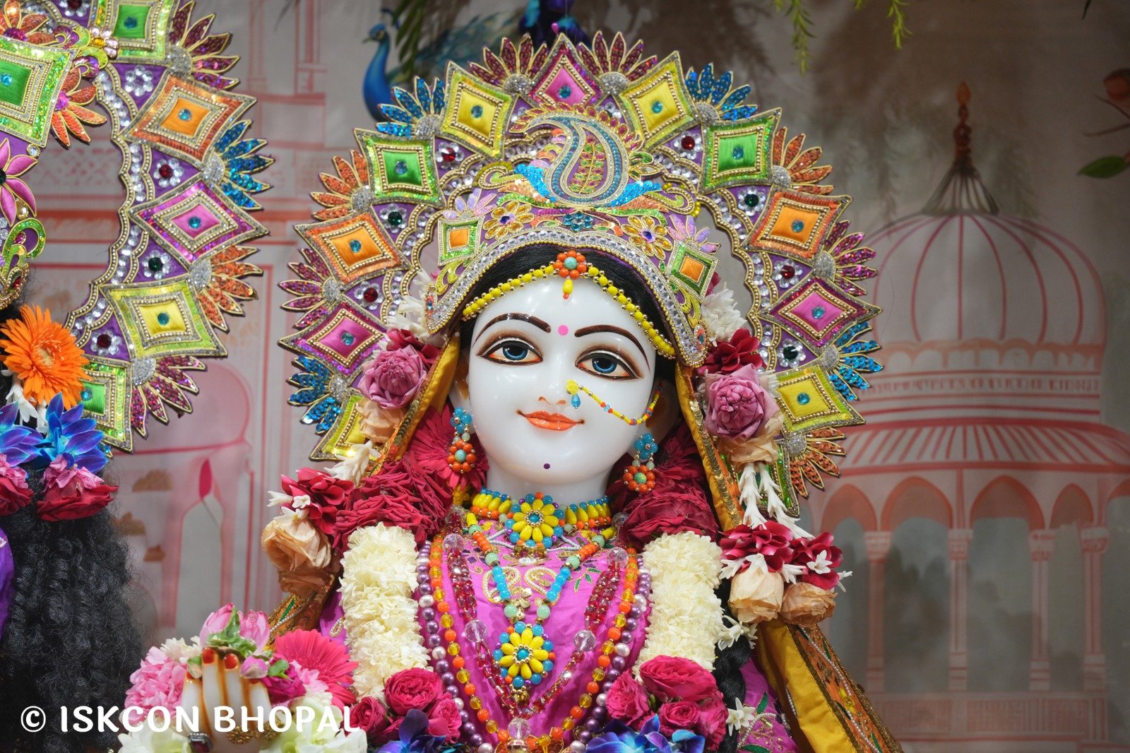 WhatsApp Image 2025-11-06 at 7.44.45 AM (1)