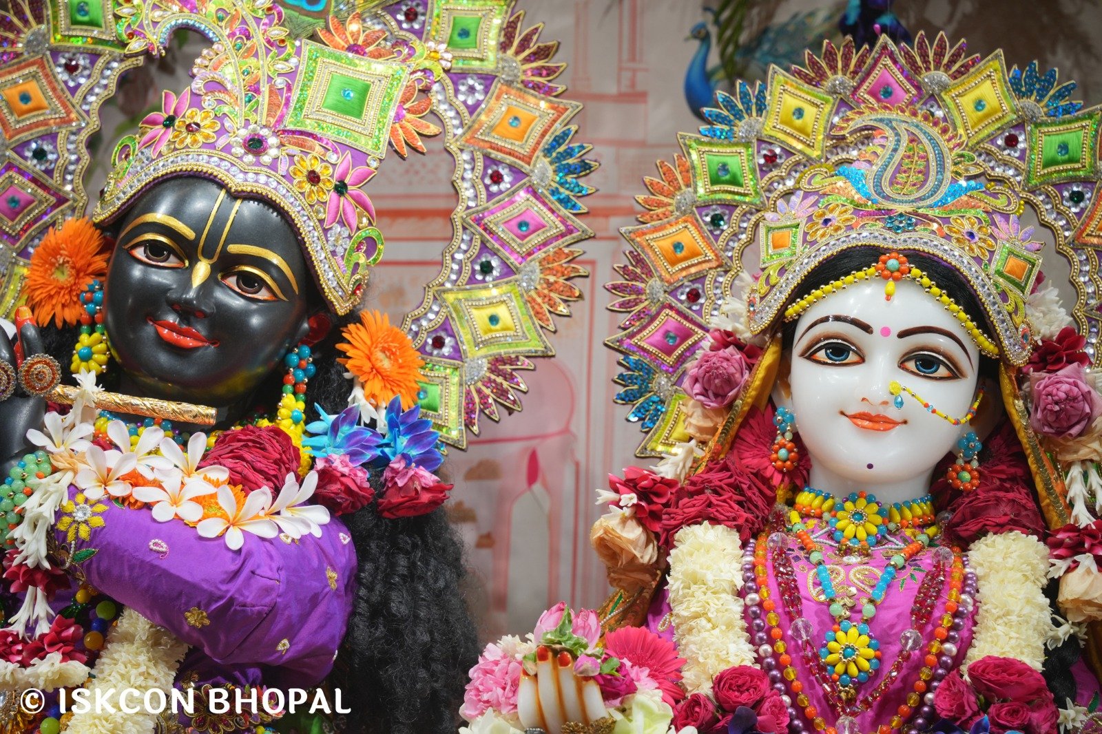 WhatsApp Image 2025-11-06 at 7.44.45 AM (3)