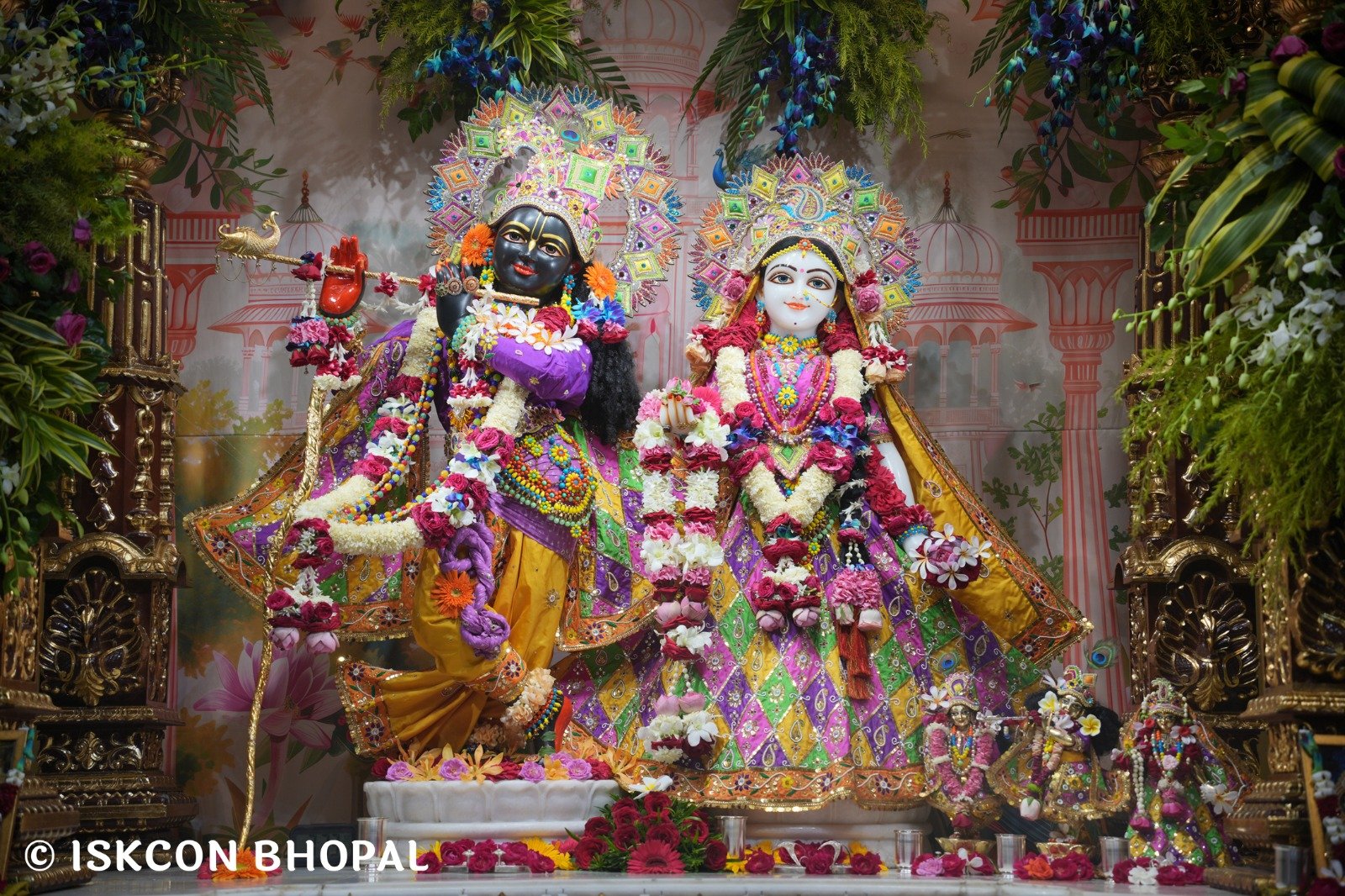 WhatsApp Image 2025-11-06 at 7.44.45 AM