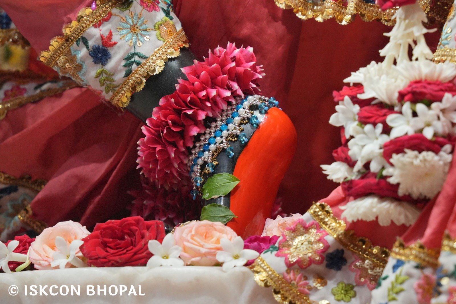 WhatsApp Image 2025-11-07 at 7.55.26 AM