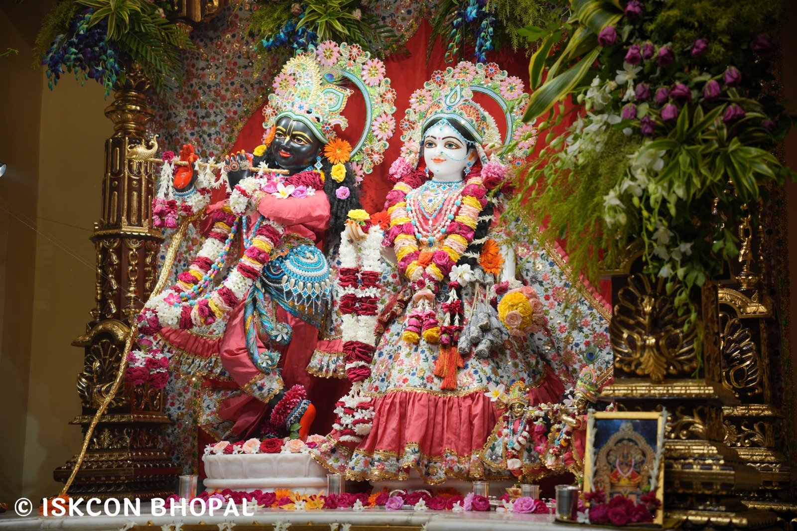 WhatsApp Image 2025-11-07 at 7.55.27 AM (1)