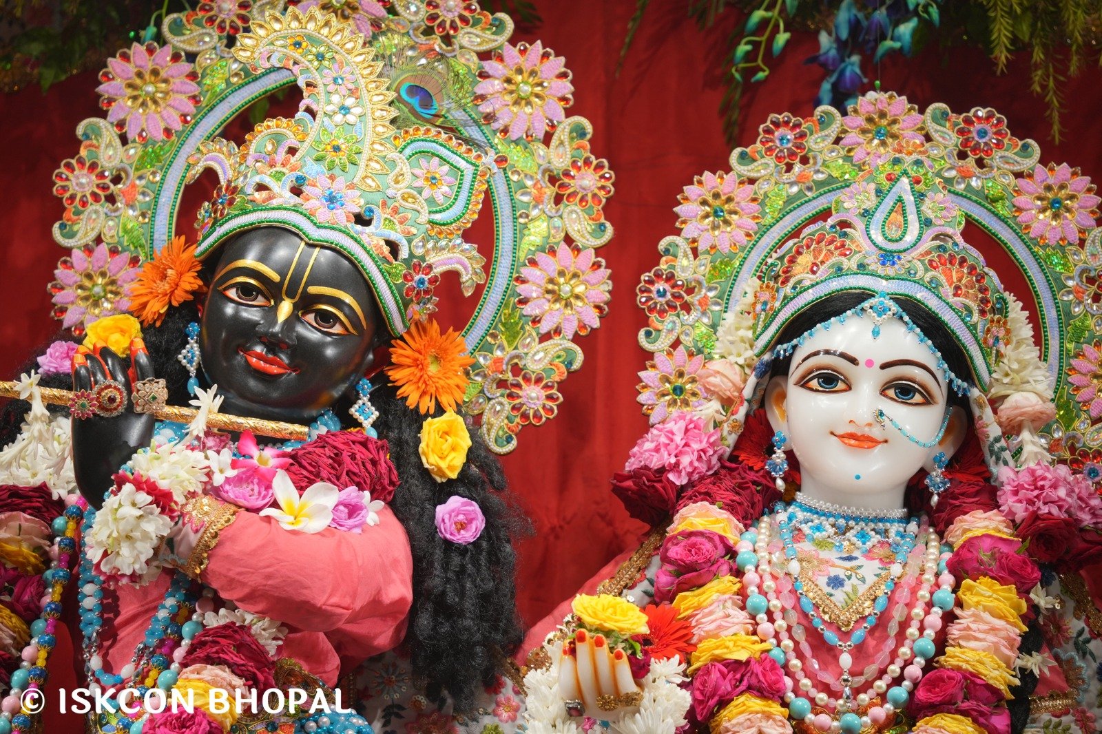 WhatsApp Image 2025-11-07 at 7.55.27 AM (2)