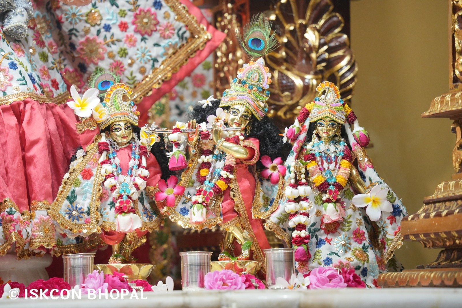 WhatsApp Image 2025-11-07 at 7.55.27 AM (3)