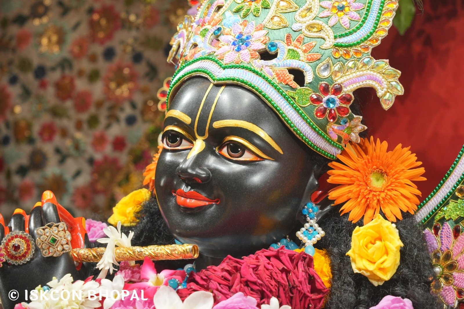 WhatsApp Image 2025-11-07 at 7.55.27 AM