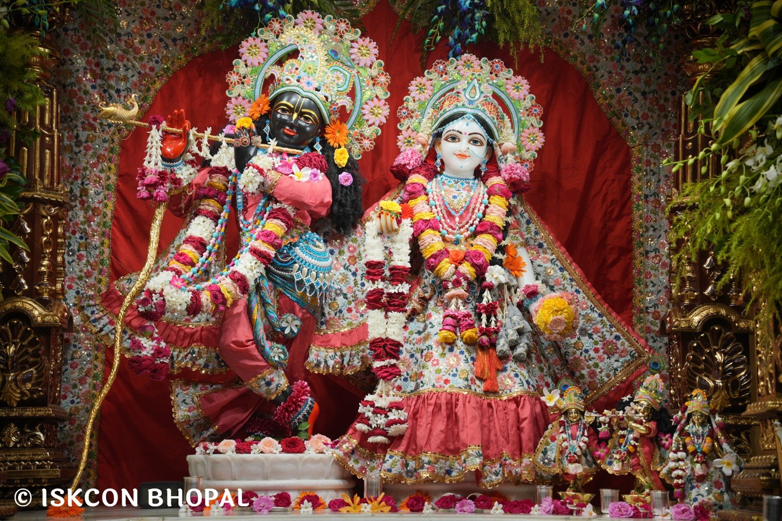 WhatsApp Image 2025-11-07 at 7.55.28 AM