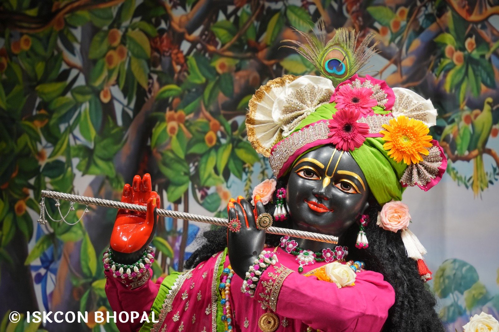 WhatsApp Image 2025-11-09 at 7.07.48 AM (2)