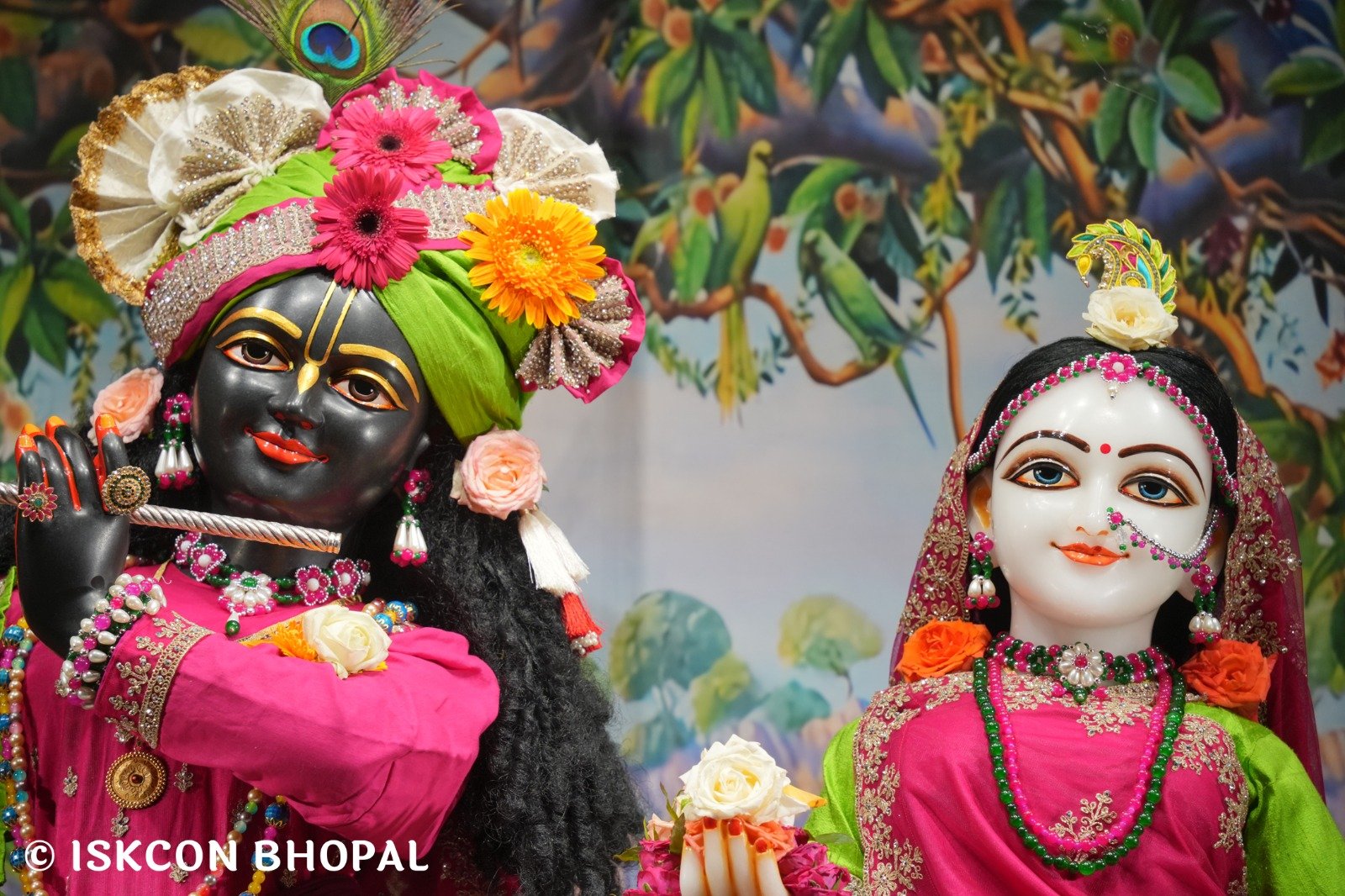 WhatsApp Image 2025-11-09 at 7.07.48 AM (3)