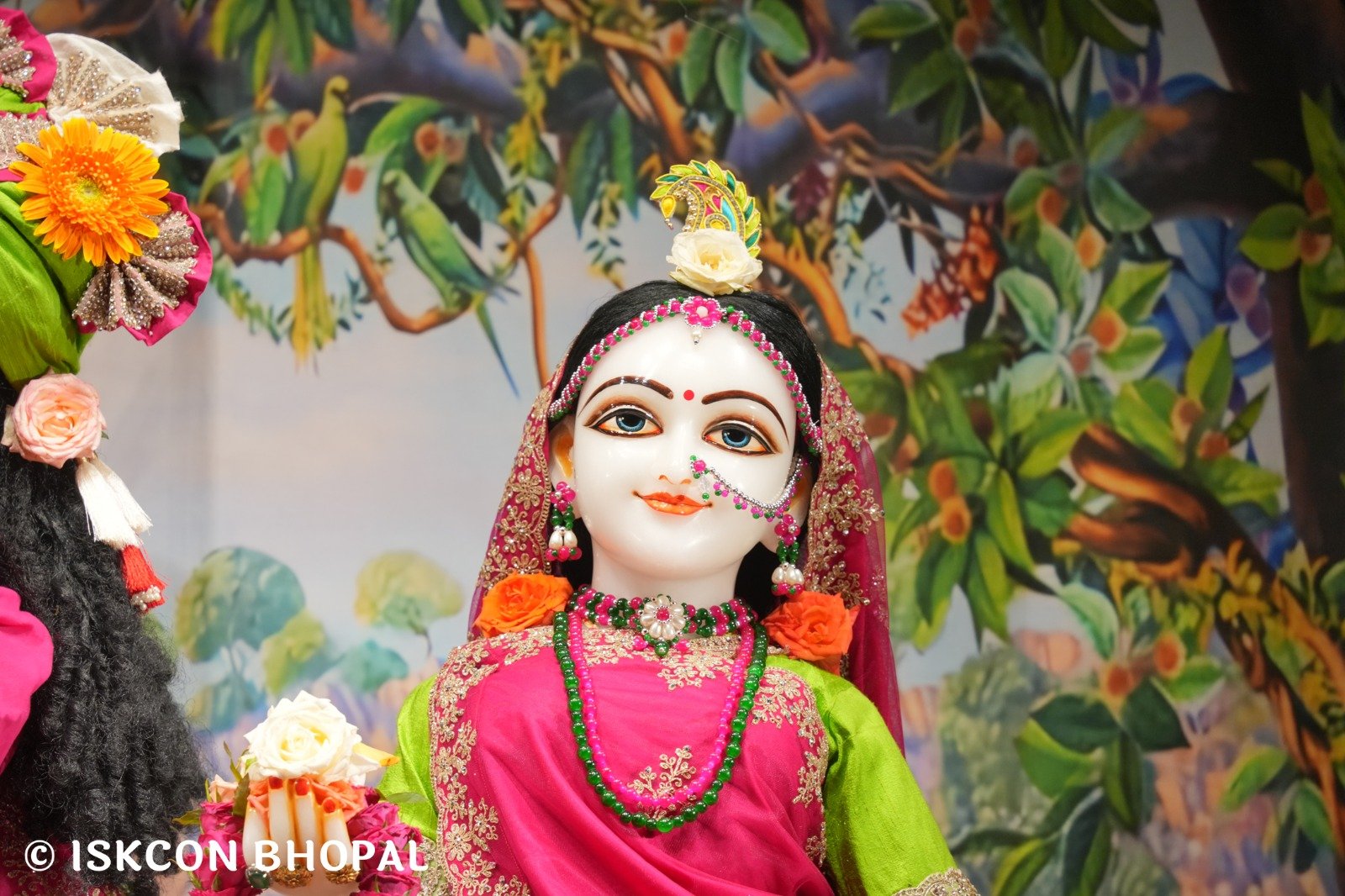 WhatsApp Image 2025-11-09 at 7.07.49 AM (1)