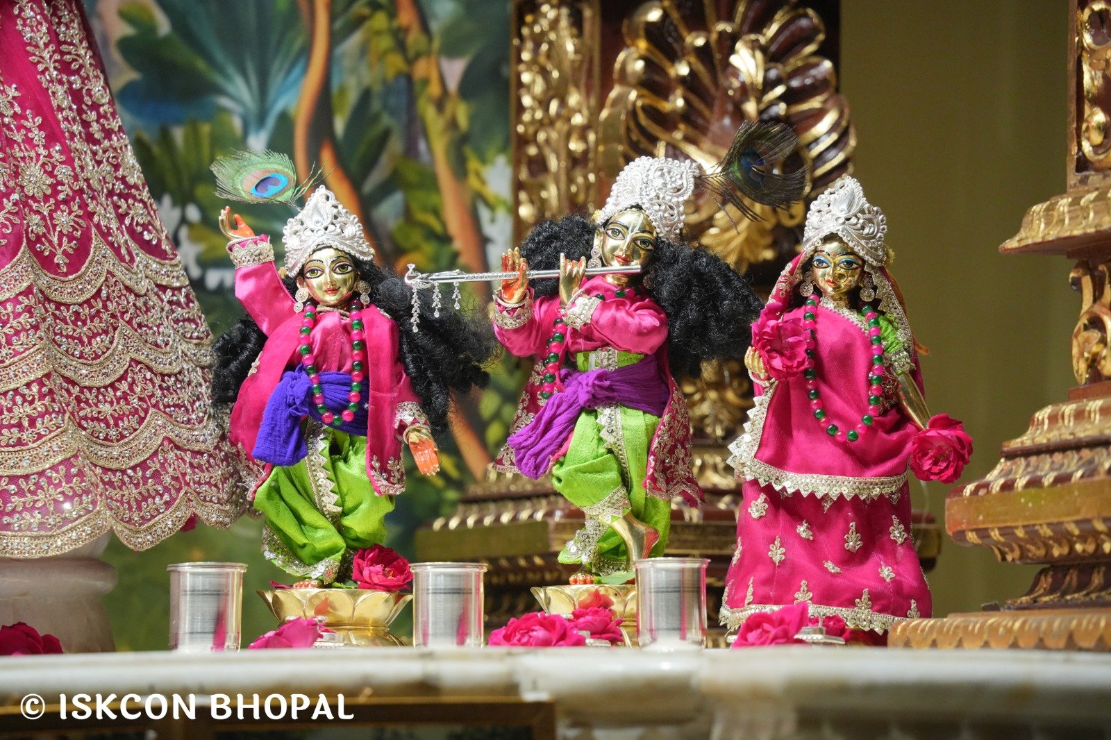 WhatsApp Image 2025-11-09 at 7.07.49 AM