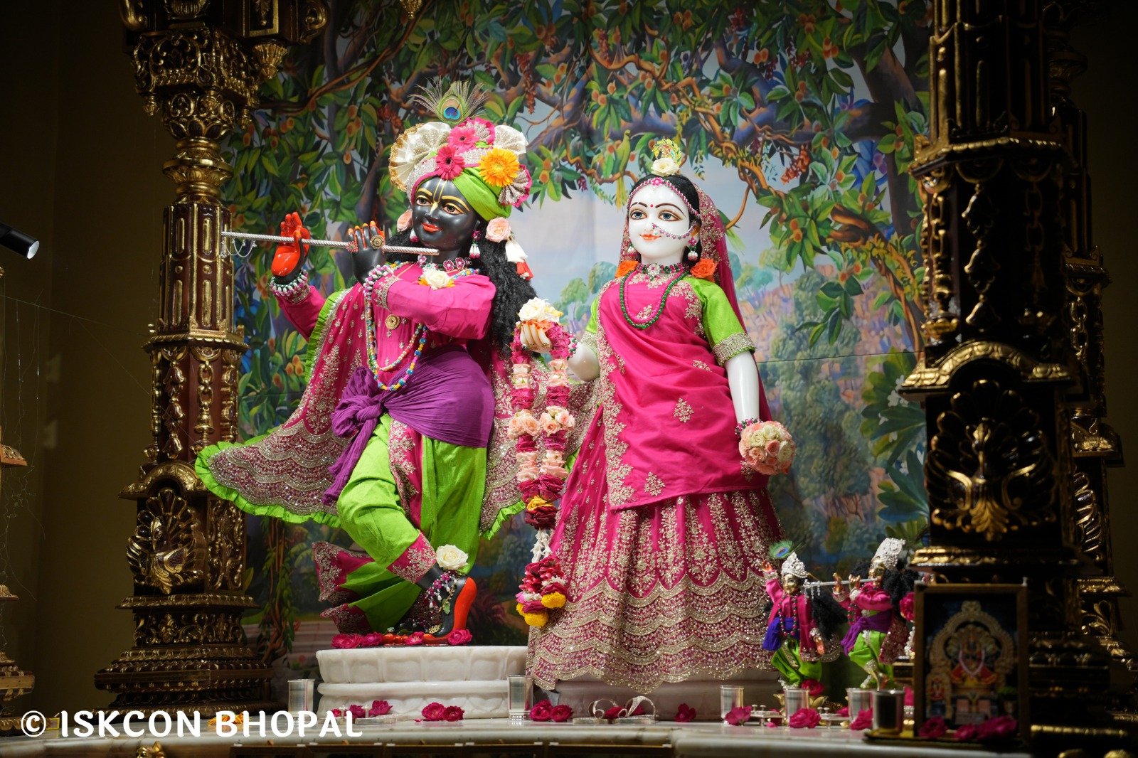 WhatsApp Image 2025-11-09 at 7.07.51 AM (1)