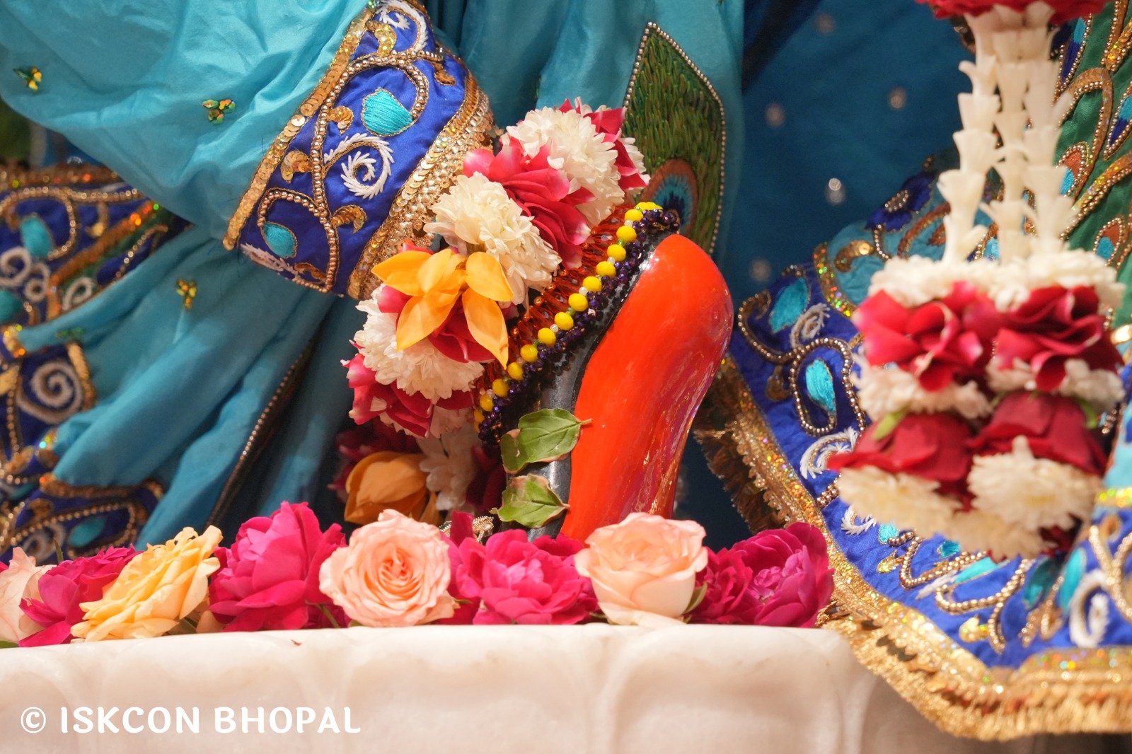 WhatsApp Image 2025-11-09 at 8.11.23 AM (1)