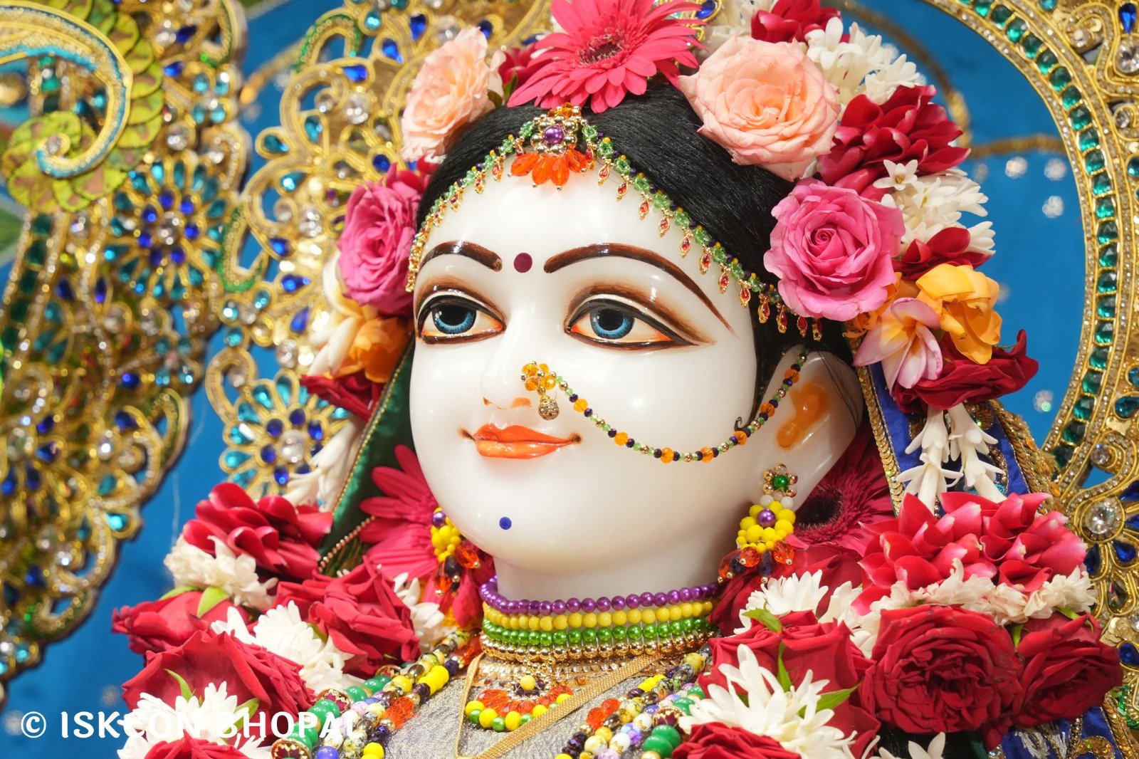 WhatsApp Image 2025-11-09 at 8.11.23 AM (2)