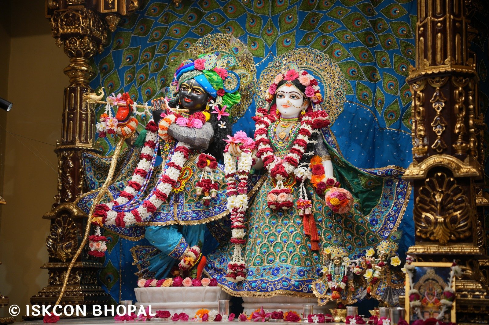 WhatsApp Image 2025-11-09 at 8.11.23 AM (3)