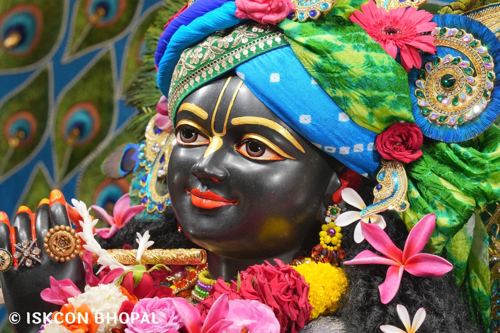 WhatsApp Image 2025-11-09 at 8.11.23 AM