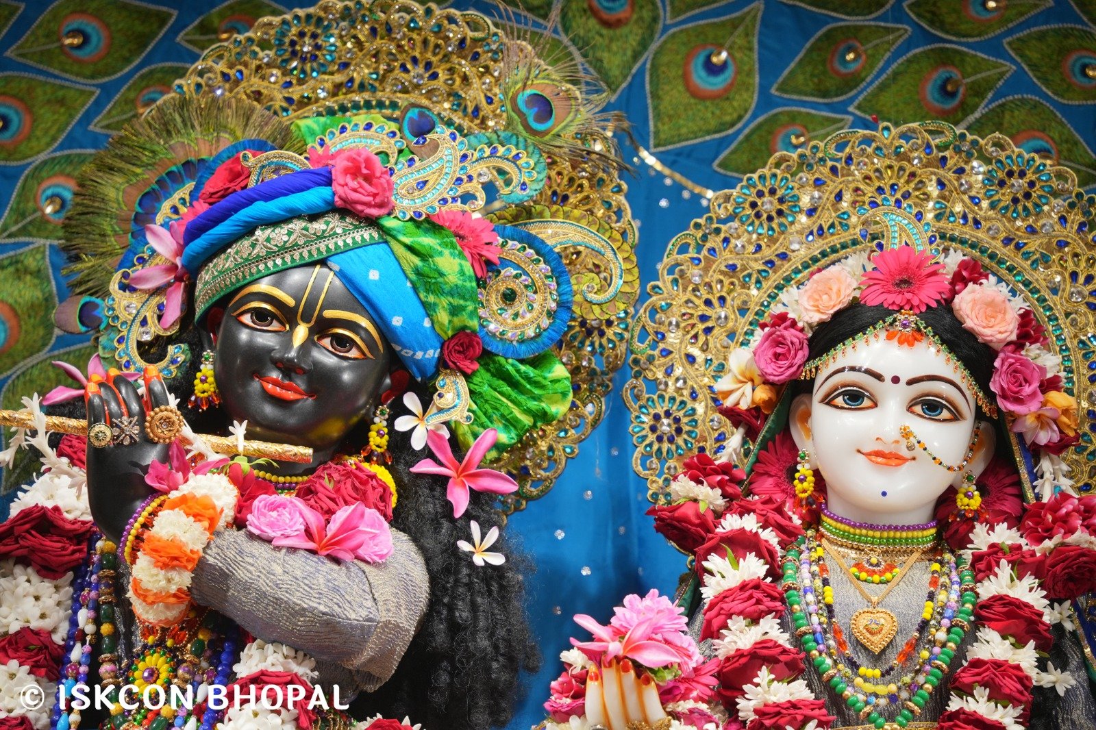 WhatsApp Image 2025-11-09 at 8.11.24 AM (1)