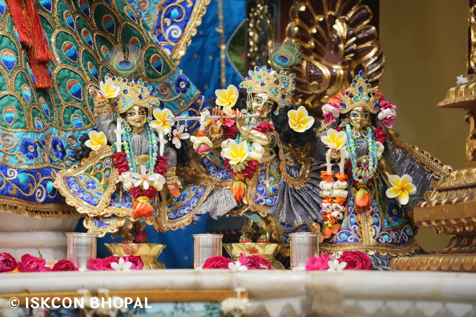 WhatsApp Image 2025-11-09 at 8.11.24 AM (3)