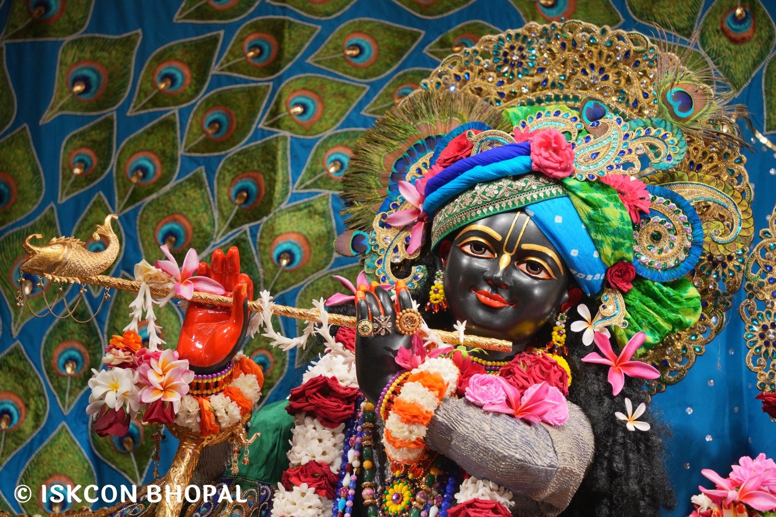 WhatsApp Image 2025-11-09 at 8.11.24 AM