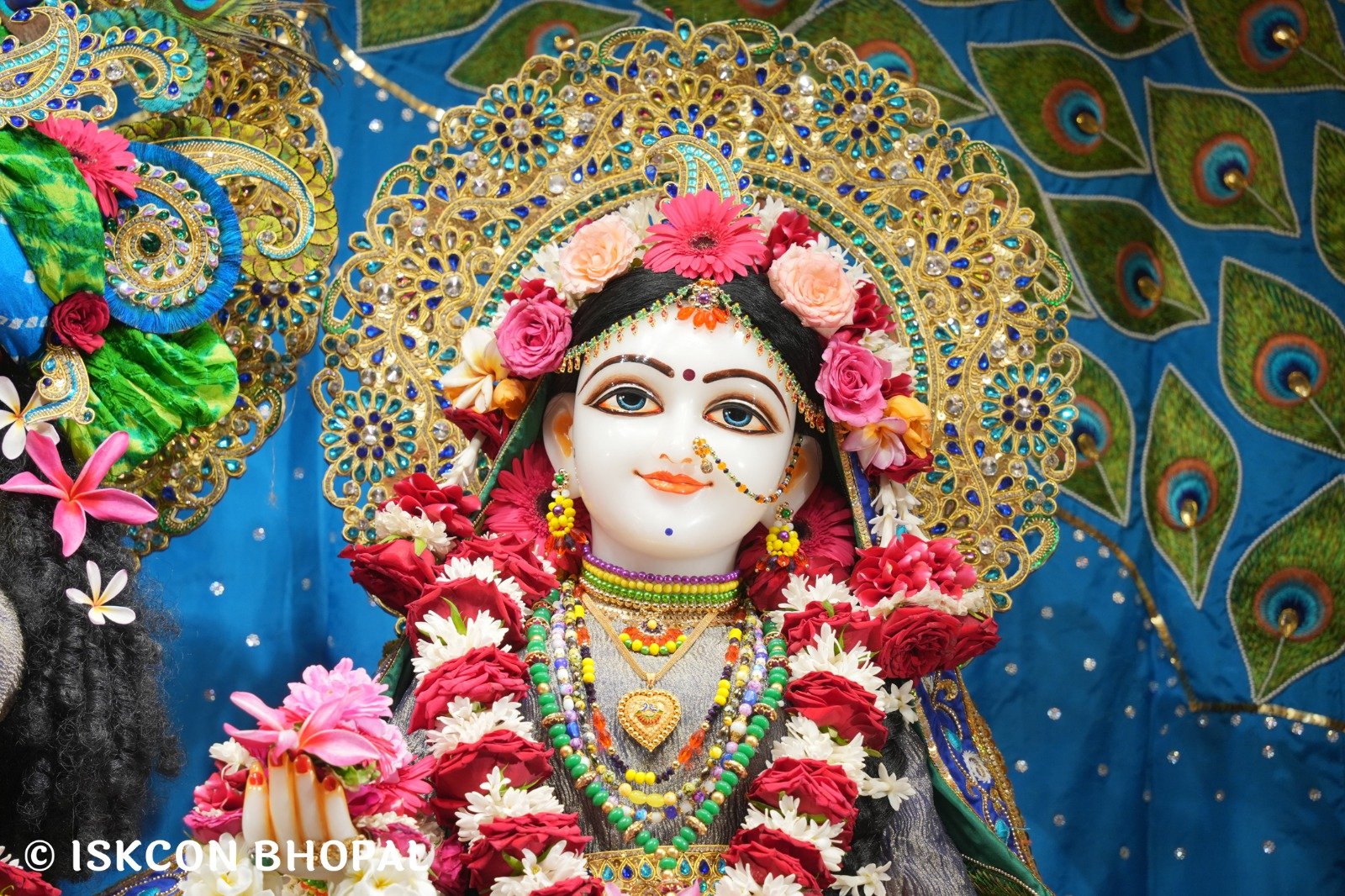 WhatsApp Image 2025-11-09 at 8.11.26 AM (1)