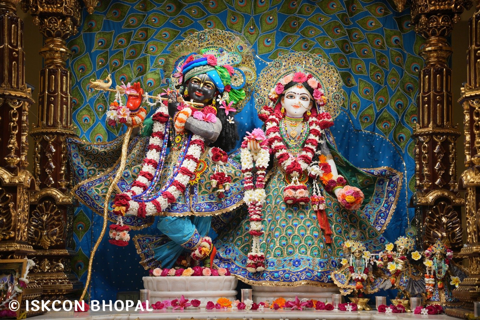 WhatsApp Image 2025-11-09 at 8.11.27 AM