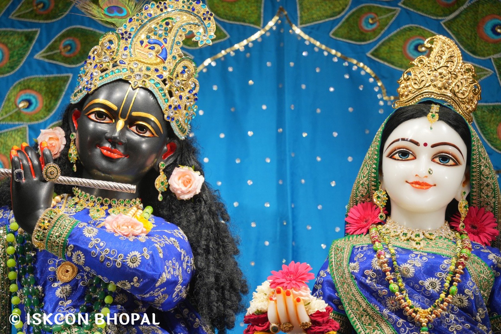 WhatsApp Image 2025-11-10 at 8.05.32 AM (1)